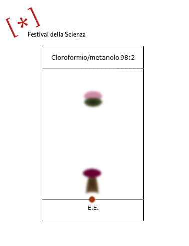 Cromatografia